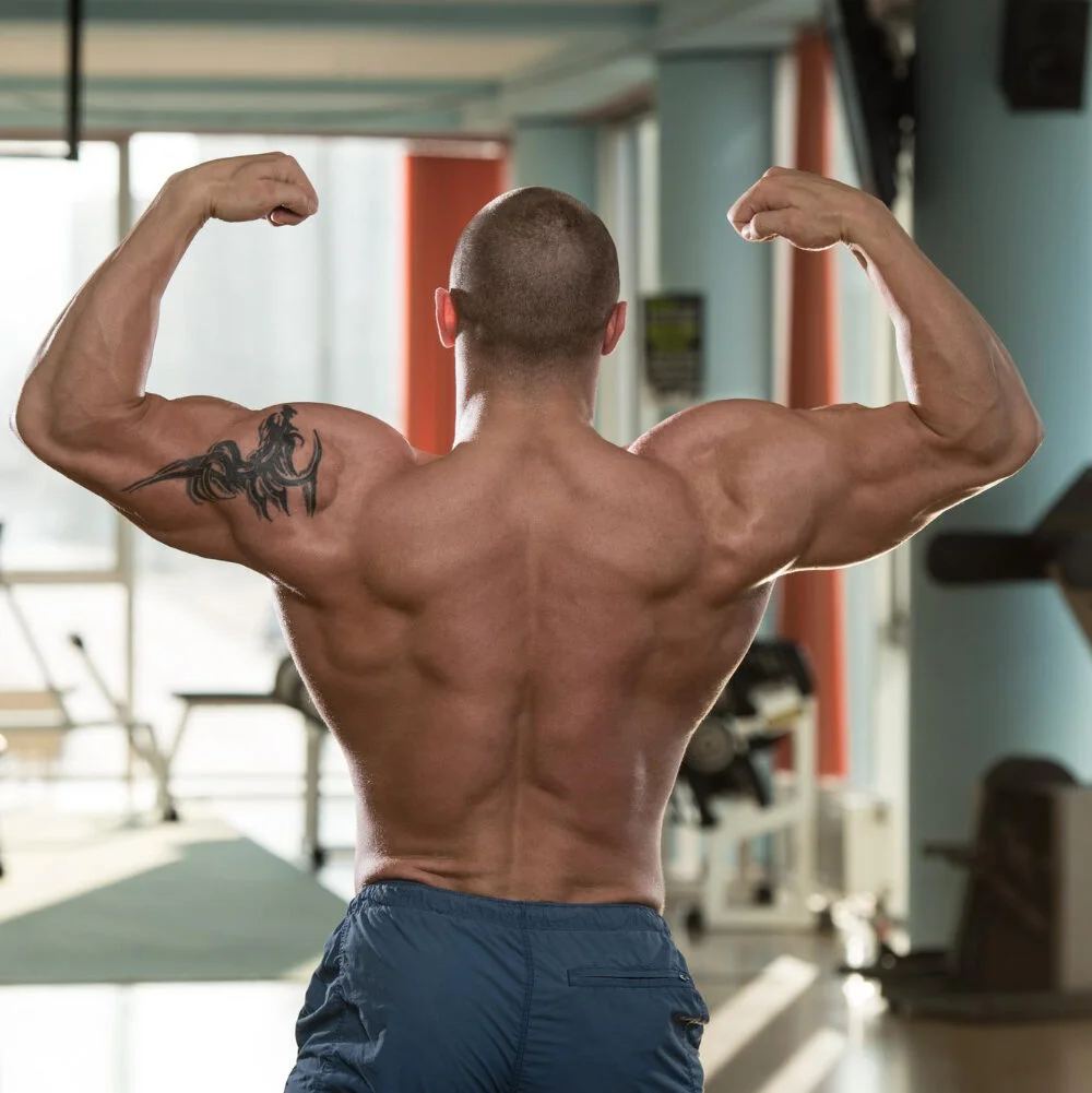 10 Deltoid Muscle Exercises To Strengthen And Tone Your Shoulders