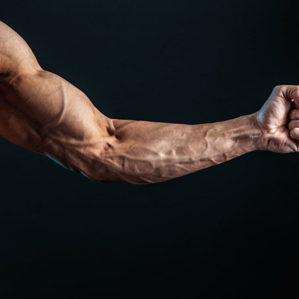 The Ultimate Guide To The 10 Best Forearm Exercisers For Building Arm Strength