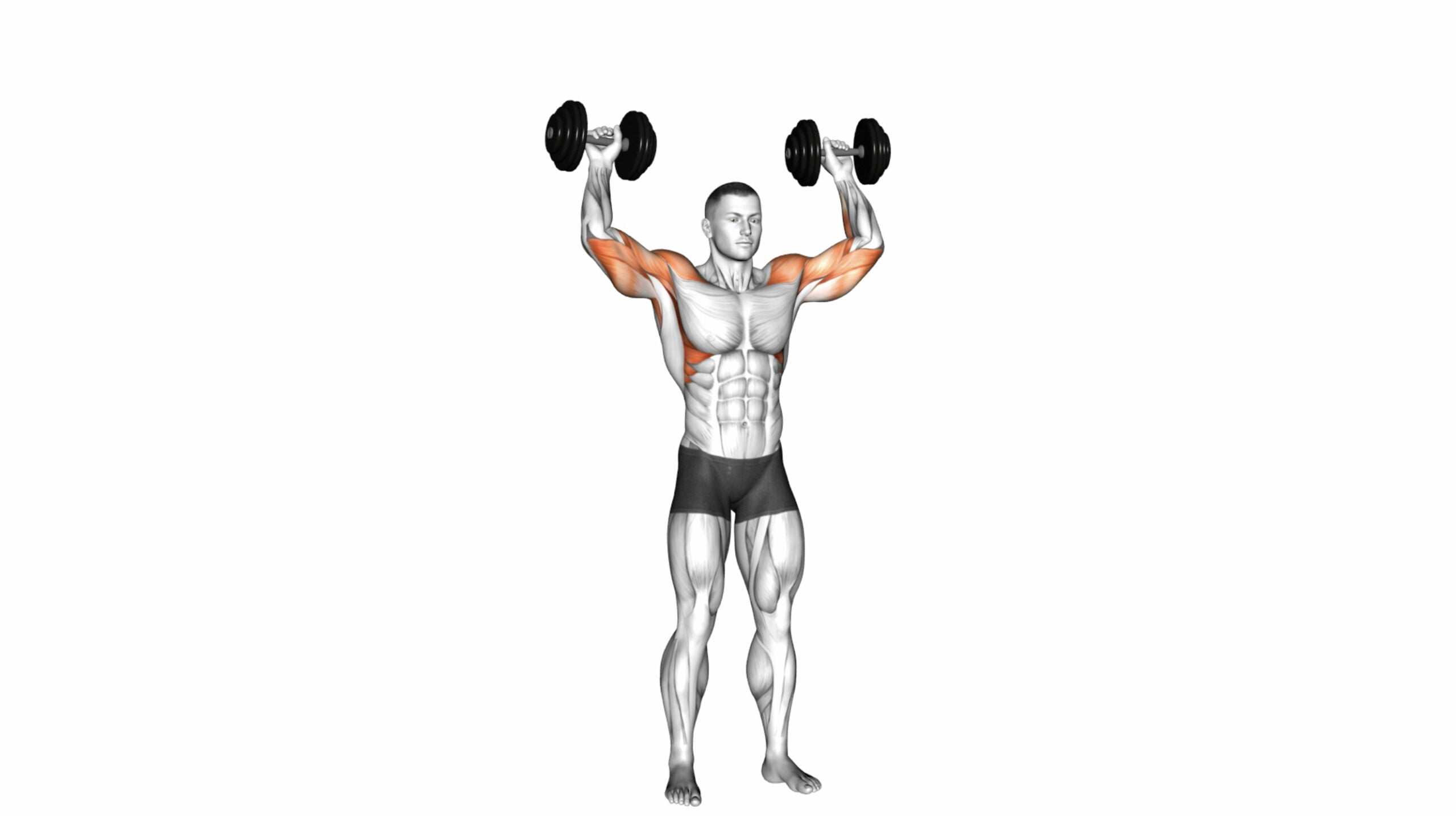 10 Vertical Push Exercises For Building Upper Body Strength And Muscle