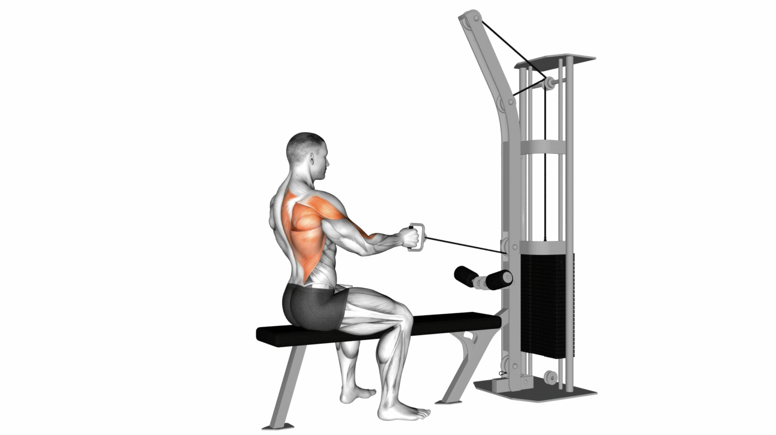 10 Essential Back Exercises Cable Machine For Strength And Definition