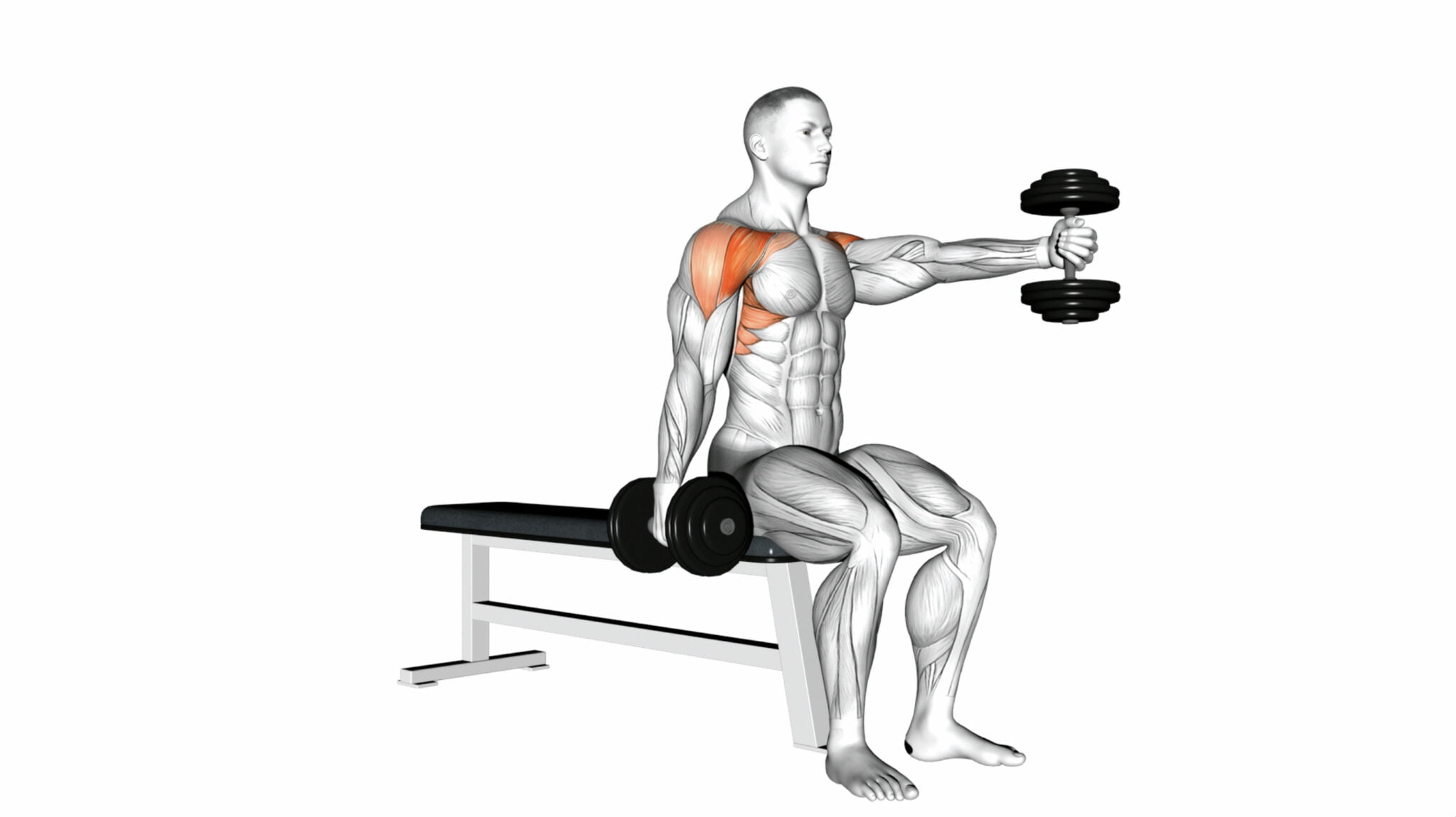 10 Side Deltoid Exercises To Sculpt Strong Shoulders: A Comprehensive ...