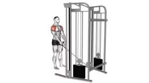 10 Deltoid Exercises With Cables For Sculpted Shoulders