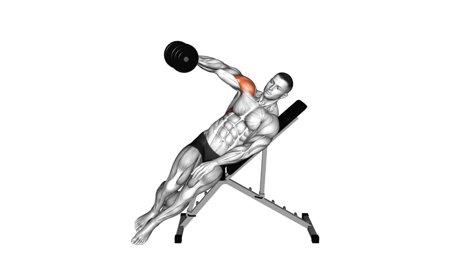 10 Effective Deltoid Strengthening Exercises For Stronger Shoulders ...