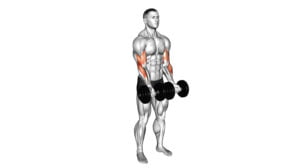 10 Exercises For The Brachioradialis: Strengthen And Tone Your Arm Muscles Now!