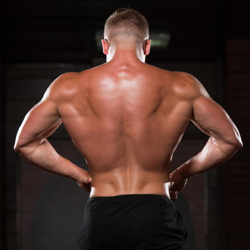 10 Barbell Back Exercises To Build Muscle And Strength
