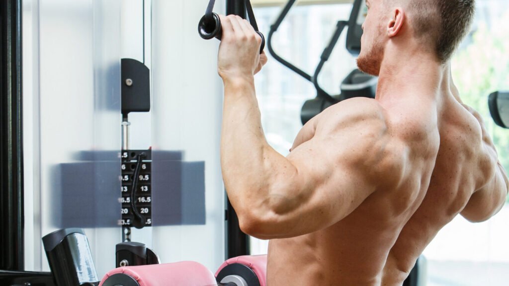 10 Isolation Exercises Back: Strengthen Your Back Muscles Fast ...