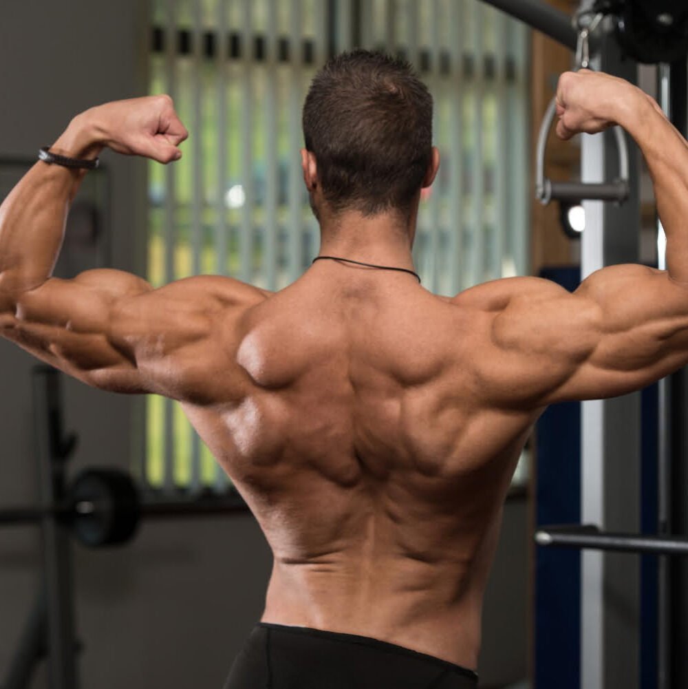 10 Deltoid Exercises With Cables For Sculpted Shoulders