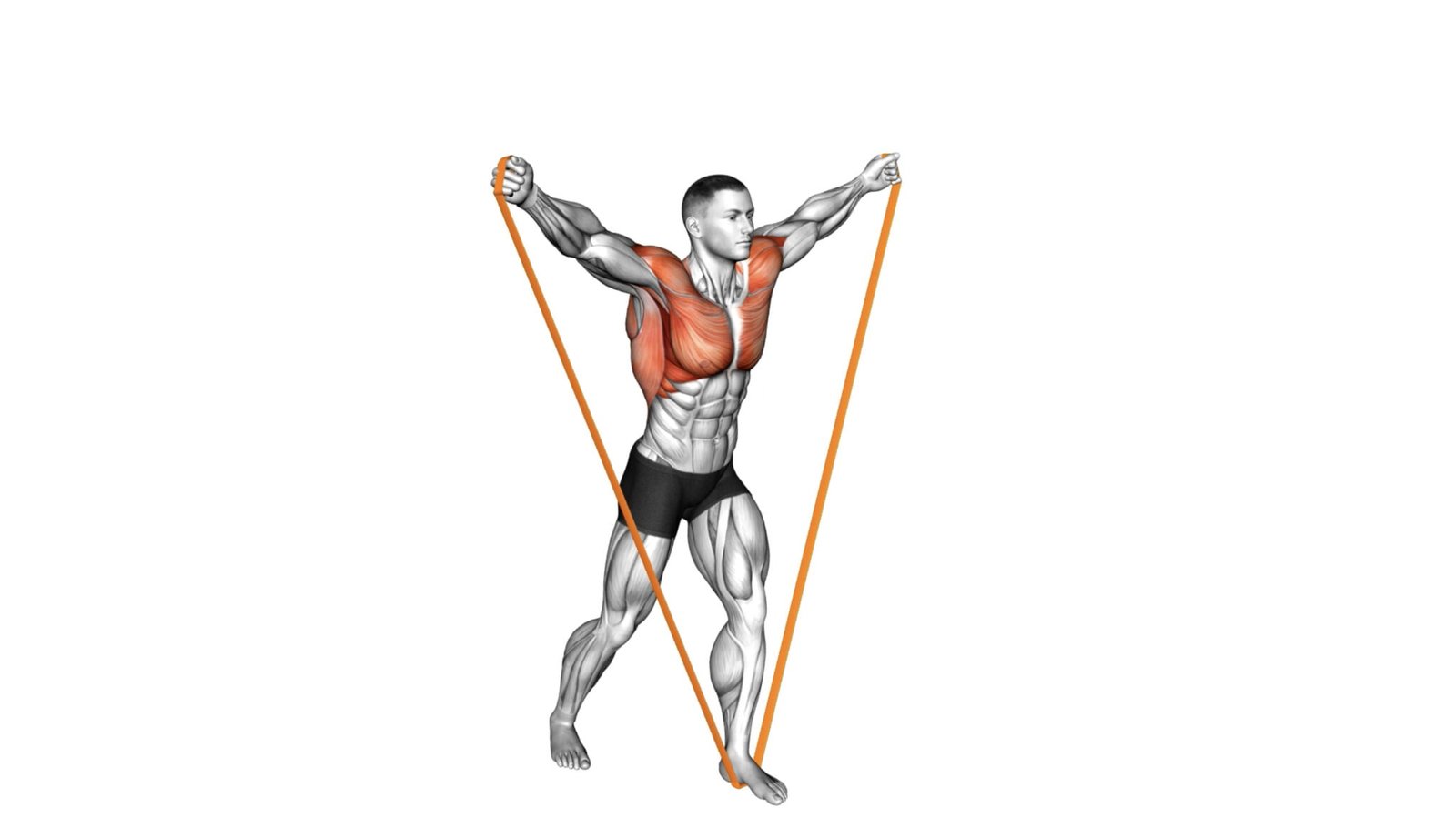 10 hip exercises with bands to get your hips in shape workout guru