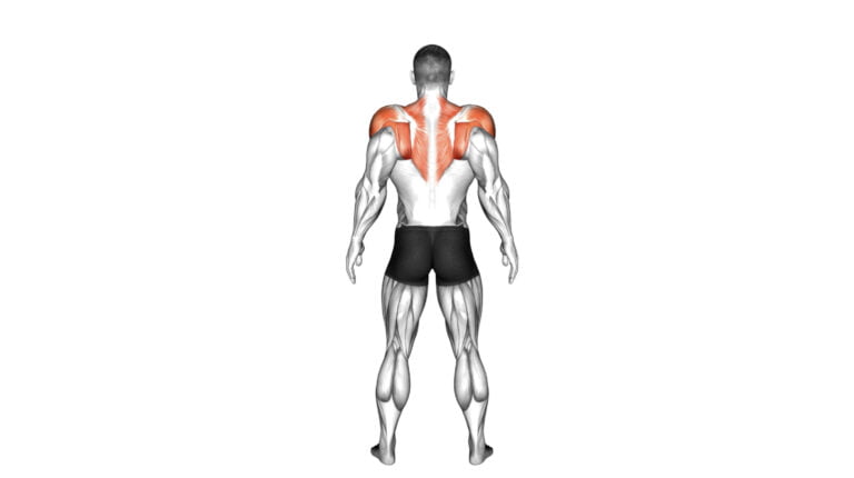 9 Effective Scapular Retraction Exercises For Improved Shoulder Stability
