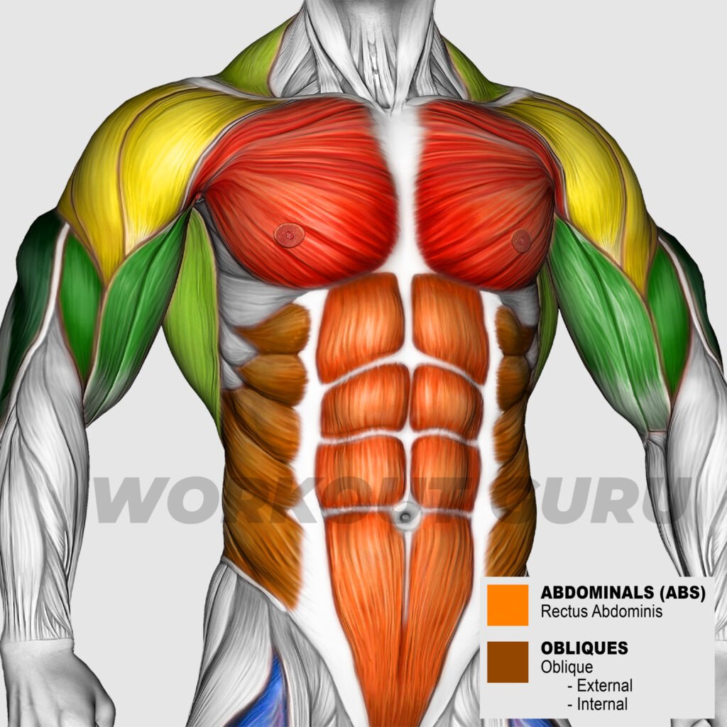 10 Cable Machine Core Exercises For A Stronger And Defined Midsection