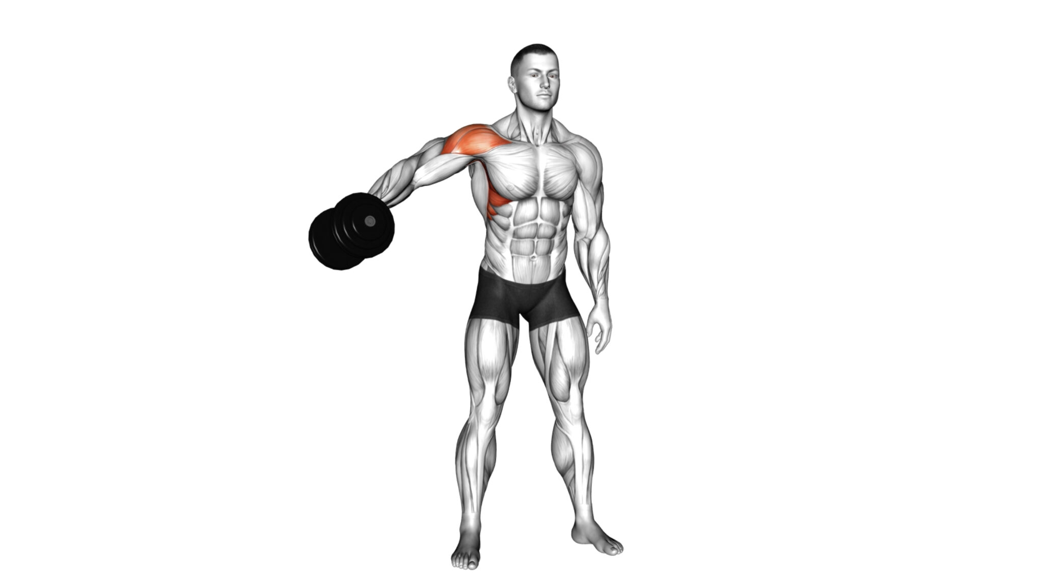 10 Exercises For Lateral Delts That Will Transform Your Shoulder Strength! Workout Guru