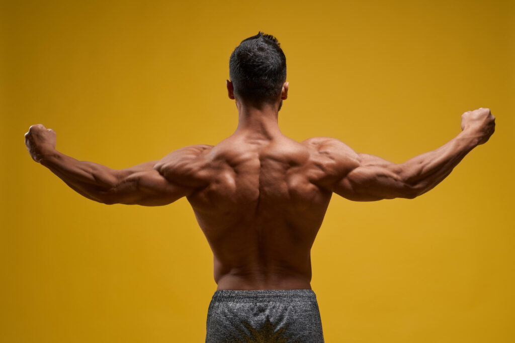 10 Lat Dumbbell Exercises For Building A Stronger Back And Lats