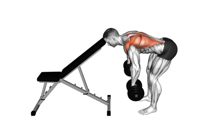 10 Lat Dumbbell Exercises For Building A Stronger Back And Lats