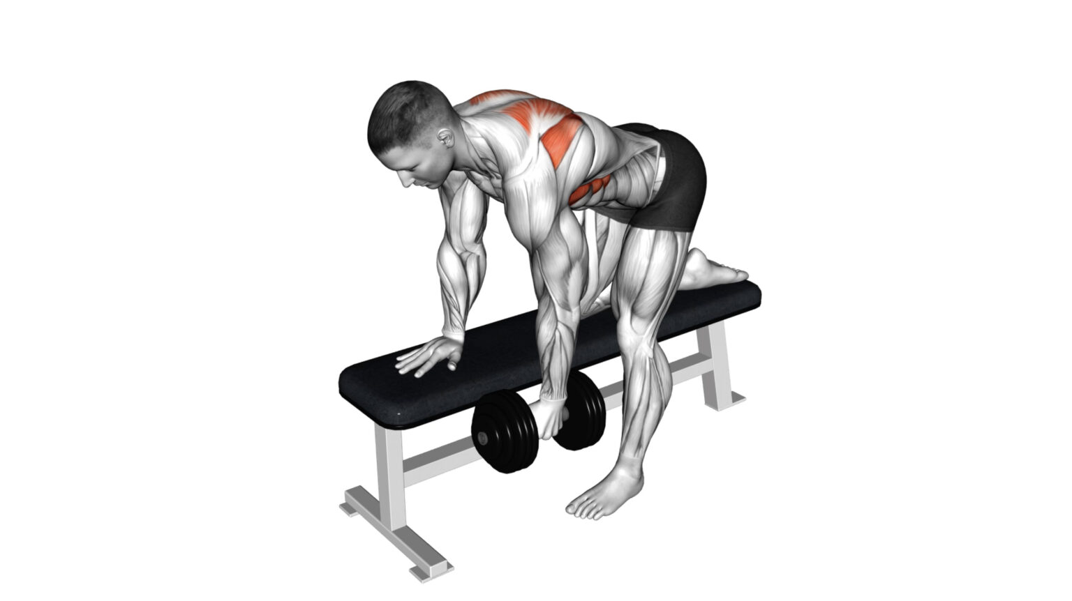 10 Effective Middle Trapezius Exercises For Strengthening And Sculpting Your Back Workout Guru