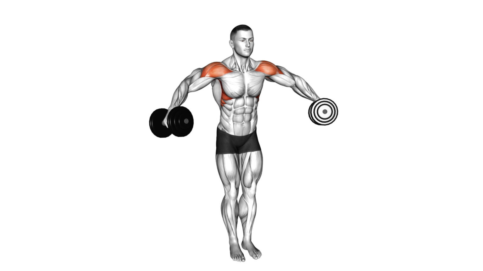 10 Side Deltoid Exercises To Sculpt Strong Shoulders: A Comprehensive ...