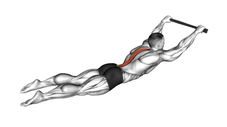 10 Spinae Erector Exercises: Strengthen Your Core With These Targeted Moves