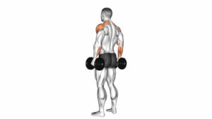 10 Effective Trap Dumbbell Exercises For Stronger And Fuller Back Muscles