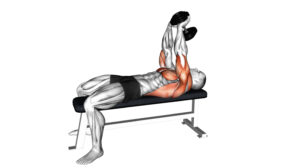 10 Essential Weight Bench Exercises For A Full-Body Workout