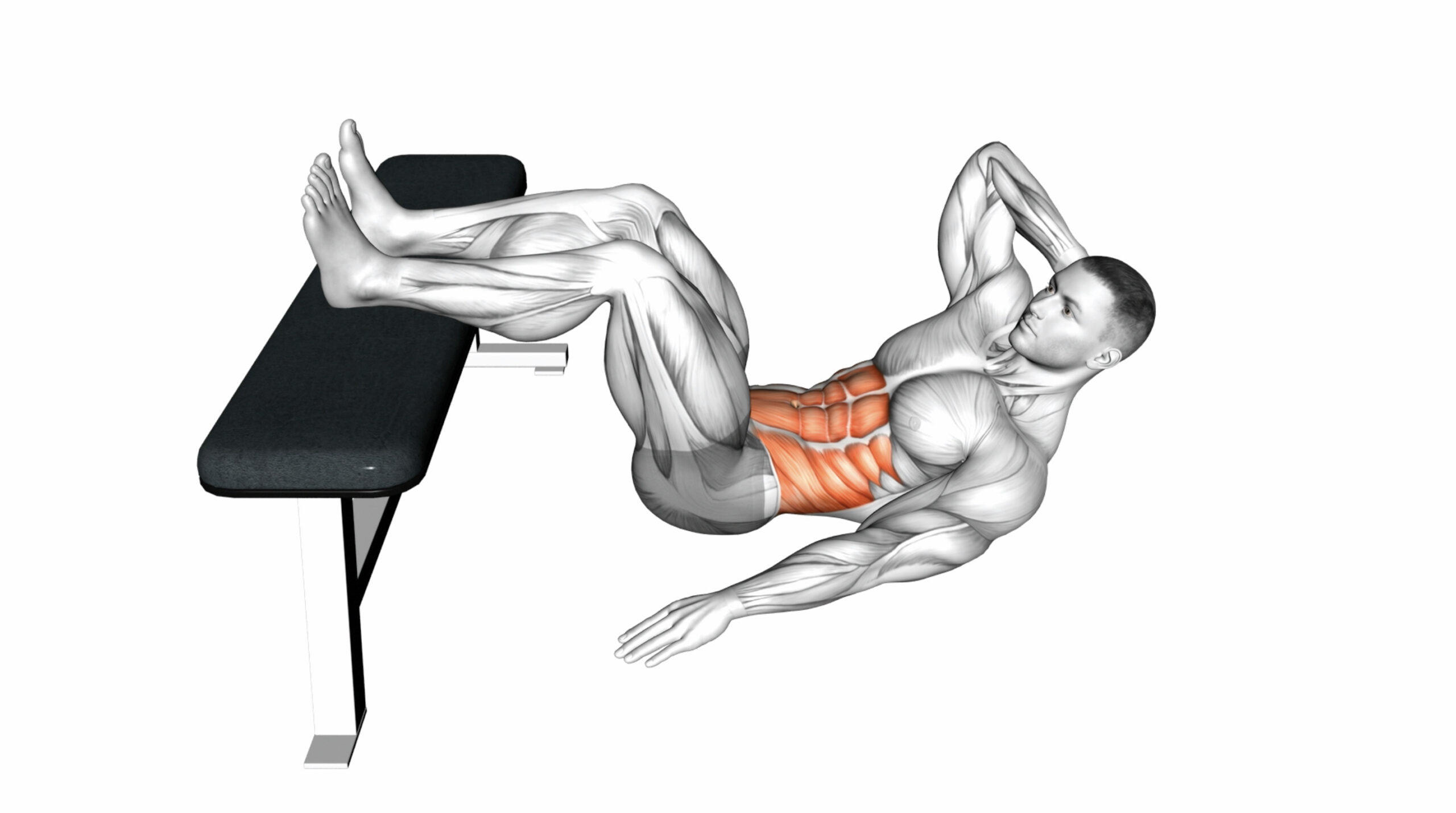 Ultimate Guide To Effective Workout Bench Ab Exercises For Core Strength