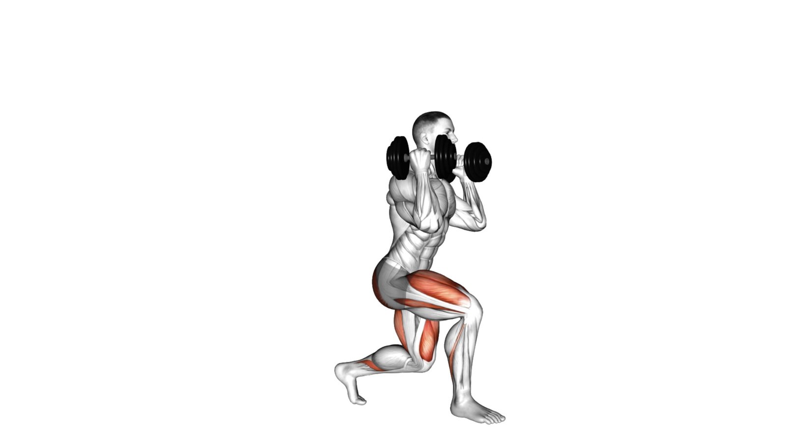 10 Upper Body Cable Exercises For Strength And Mass: The Ultimate Cable ...