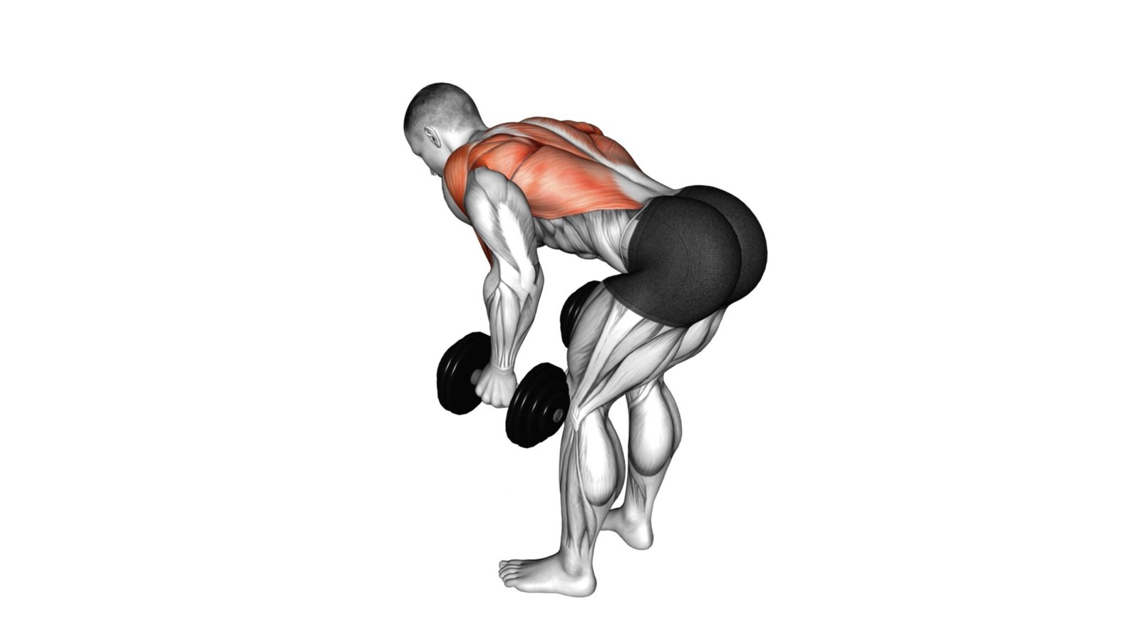 10 compound exercises for the back the ultimate guide workout guru