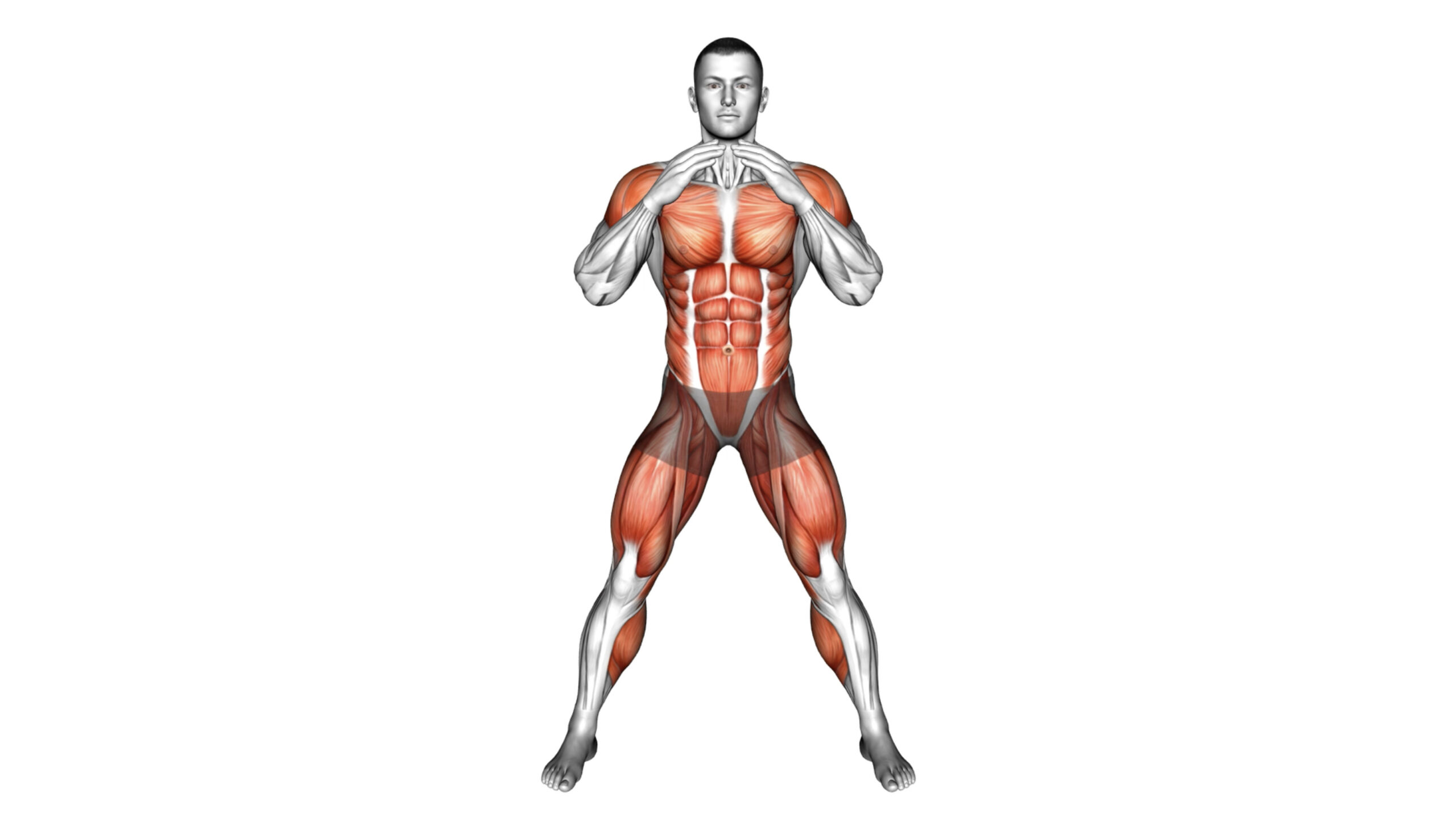 Top Exercises Under Body Composition For Best Results