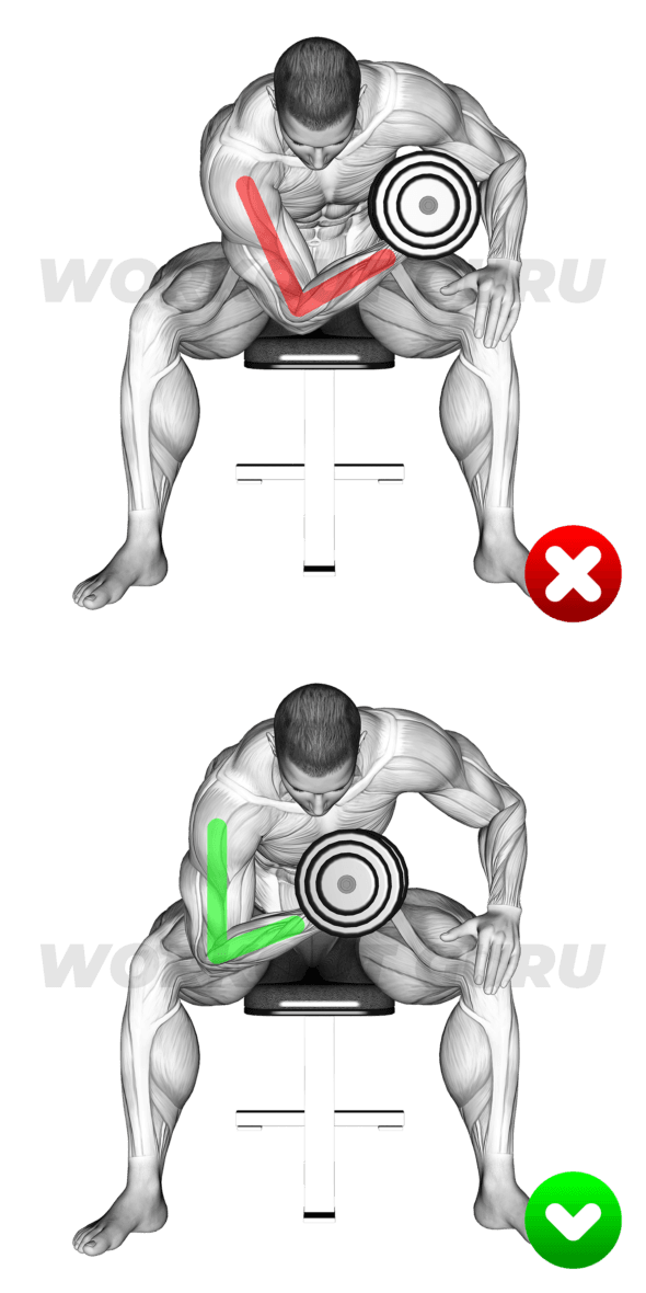 Stop Making Mistakes: Most Common Exercises Done Incorrectly - Workout Guru