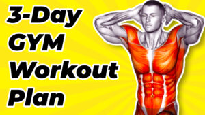 3-day gym workout plan for male